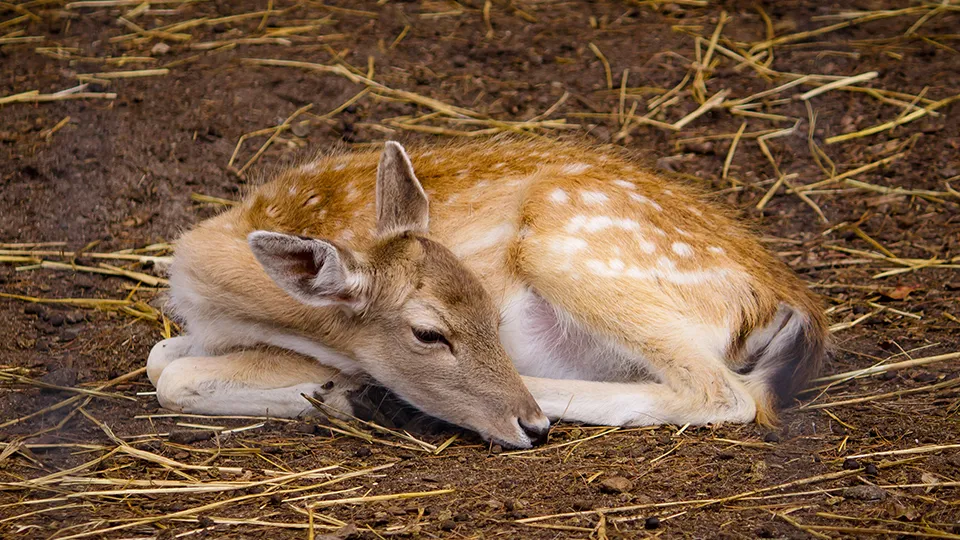 Фото: freepik.com