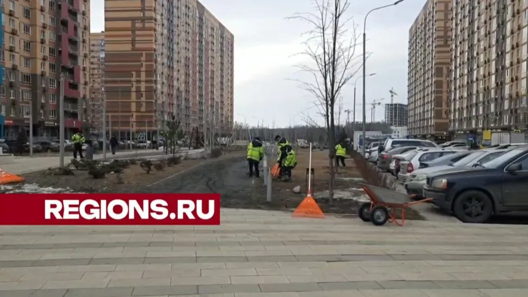 Скриншот из видео