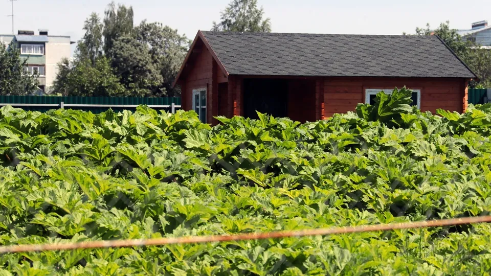 Фото: РИА Новости/Виталий Белоусов