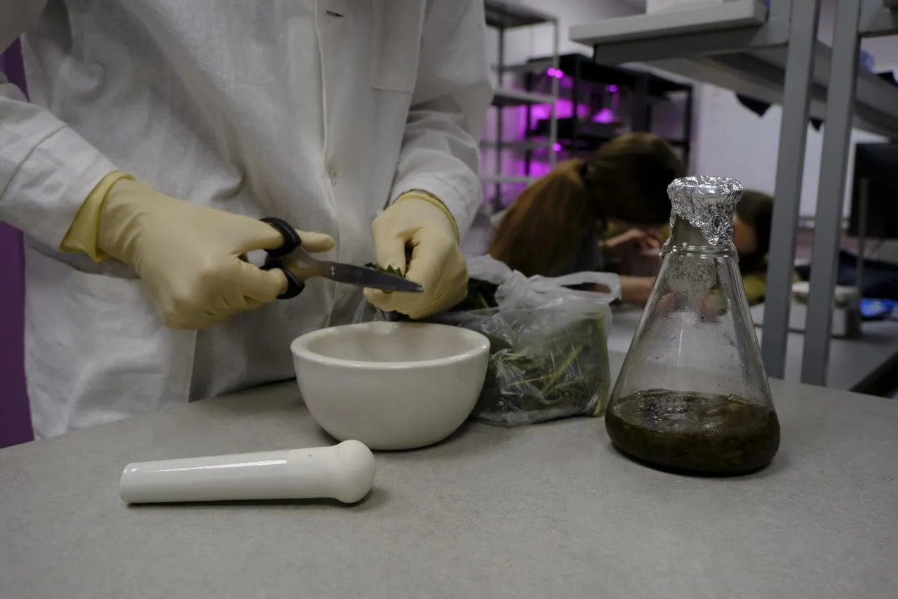 Фото: Мария Панина