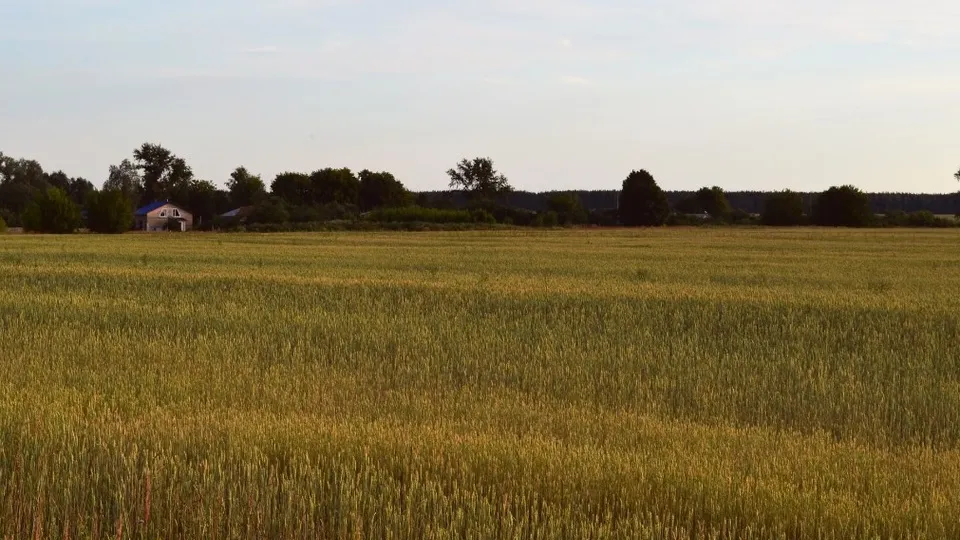 Фото: unsplash.com