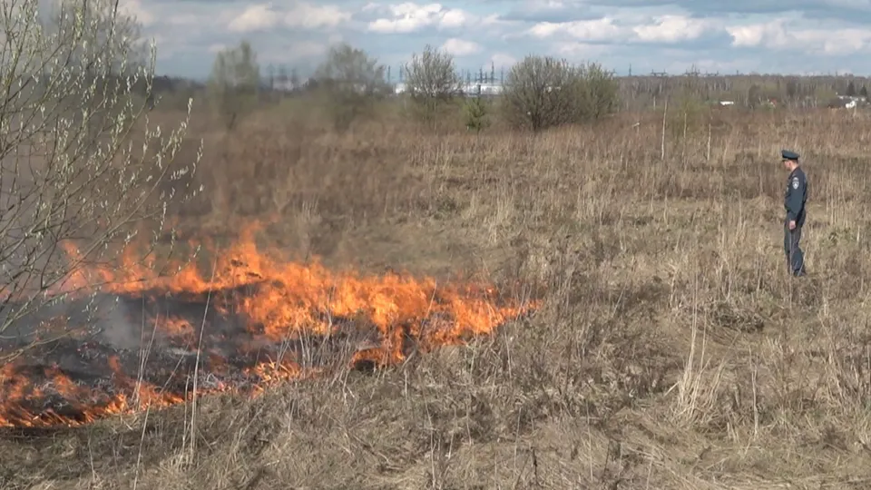 Фото: REGIONS/Наталия Надточая