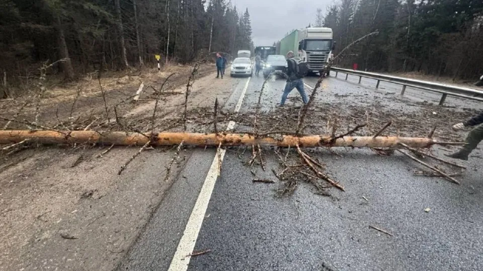 Фото: администрация г.о.Клин