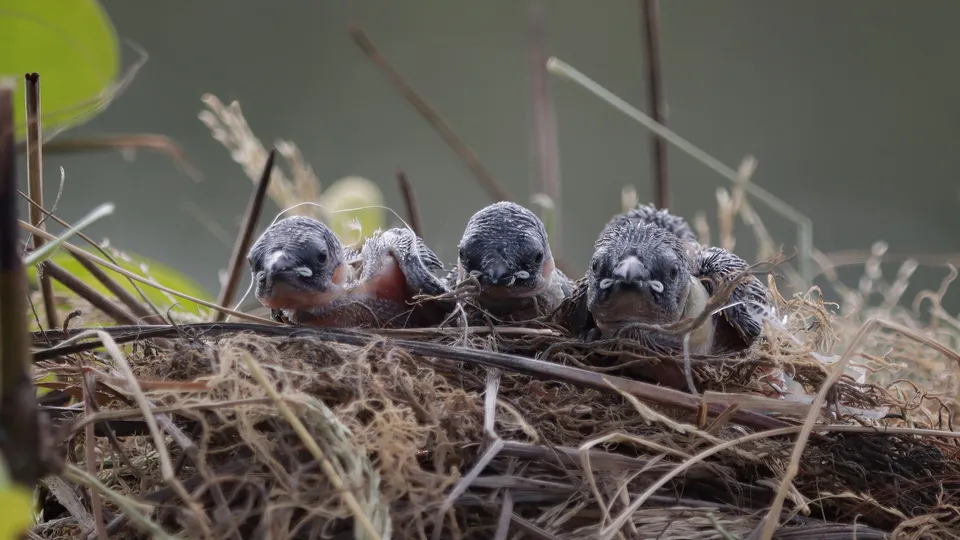 Фото: freepik.com