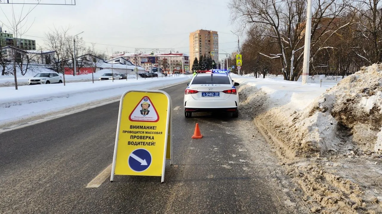 МедиаБанк Подмосковья/Ирина Моисеева