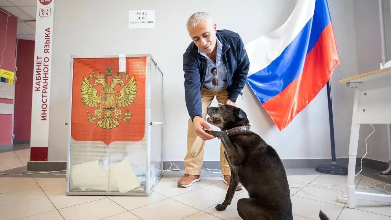 Подольский зоозащитник Айрапетян принял участие в выборах в Подмосковье