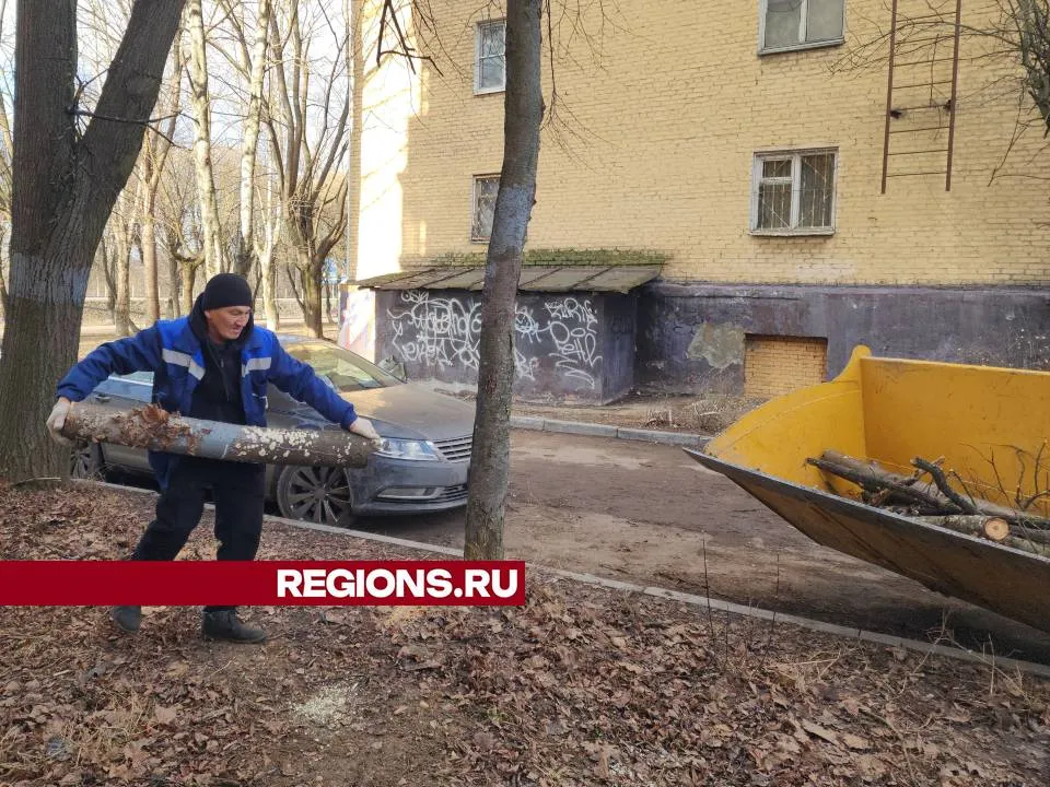 Фото: Мария Андрюхина