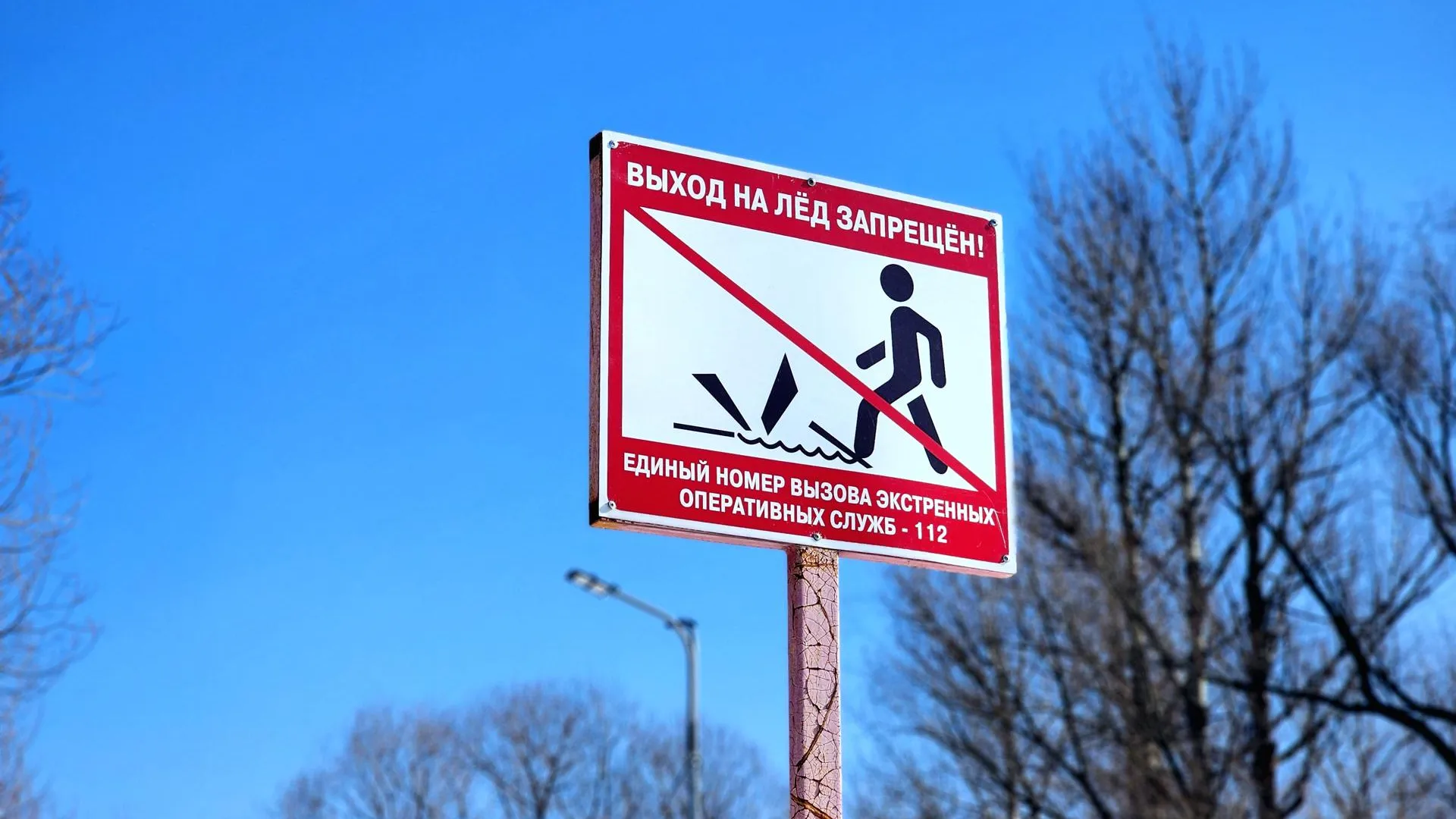 Мария Овчинникова