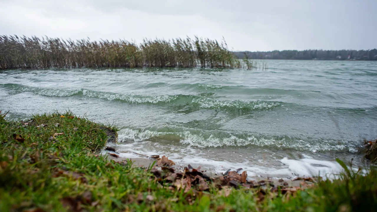 Фото: медиасток.рф