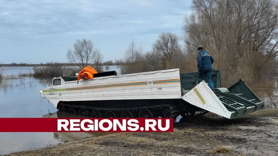 Фото: пресс-служба администрации городского округа Луховицы