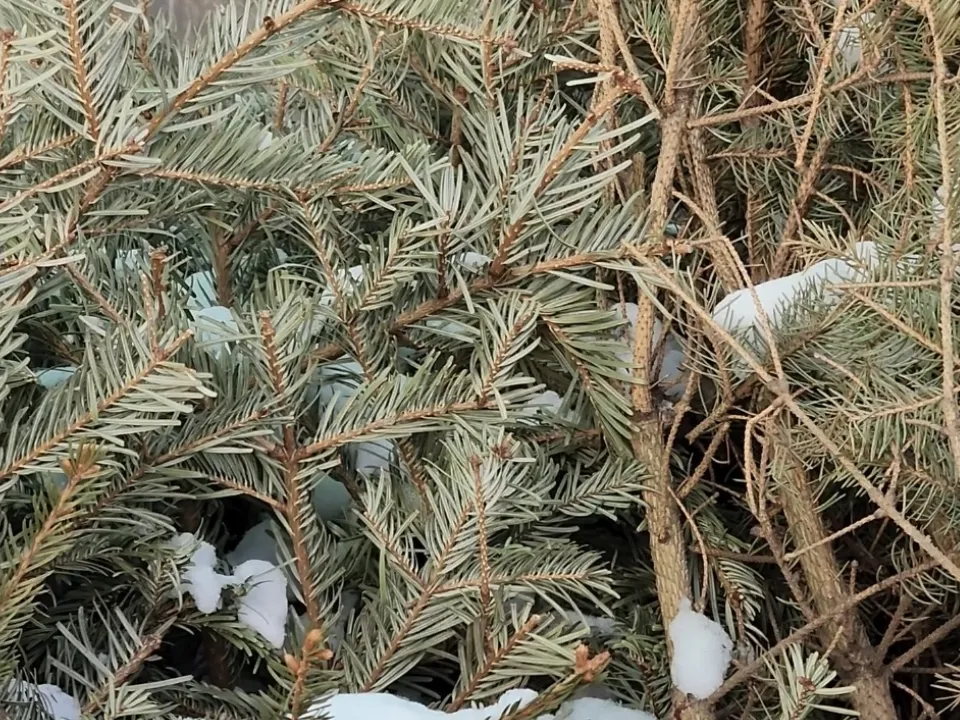 Фото: МедиаБанк Подмосковья/Валерия Ерофеева&nbsp;