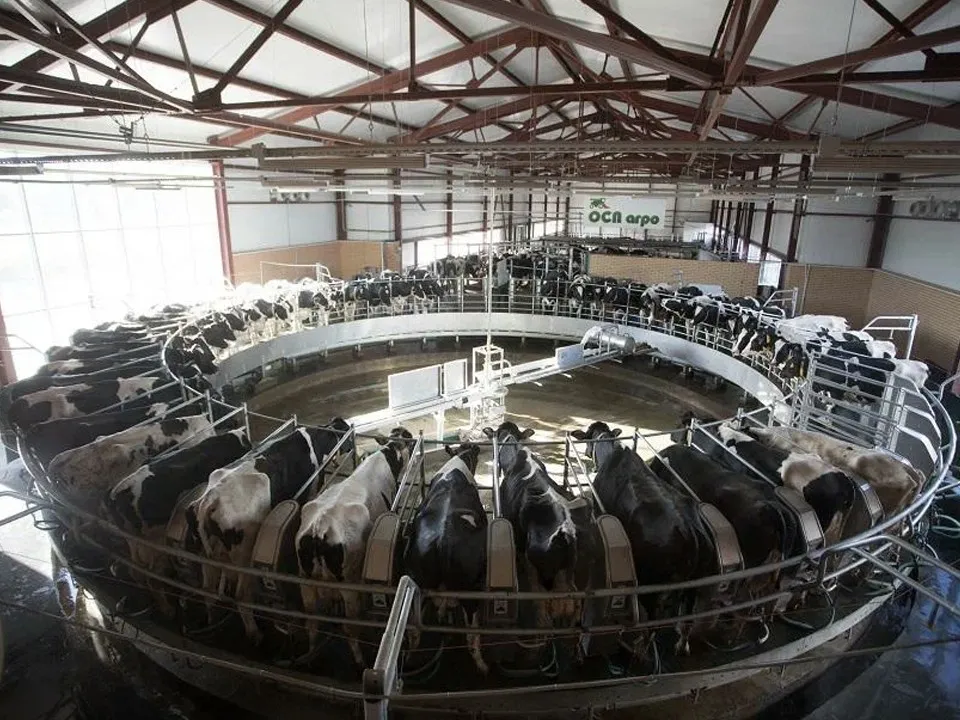 Фото: пресс-служба губернатора и правительства Московской области