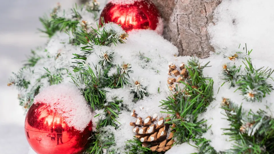 Фото: медиасток.рф