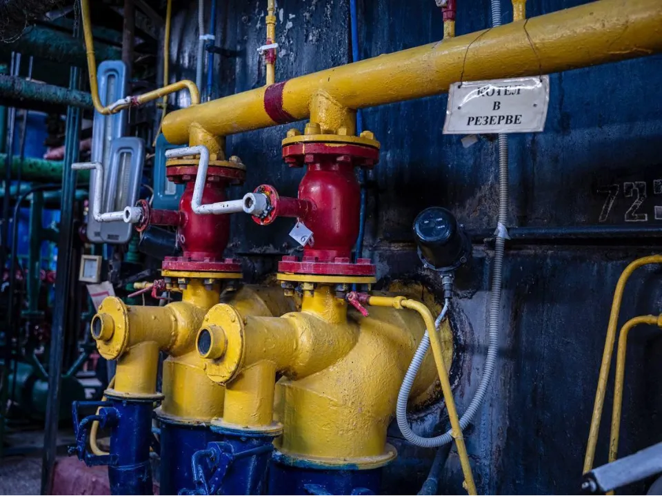 Фото: пресс-служба администрации г.о. Домодедово