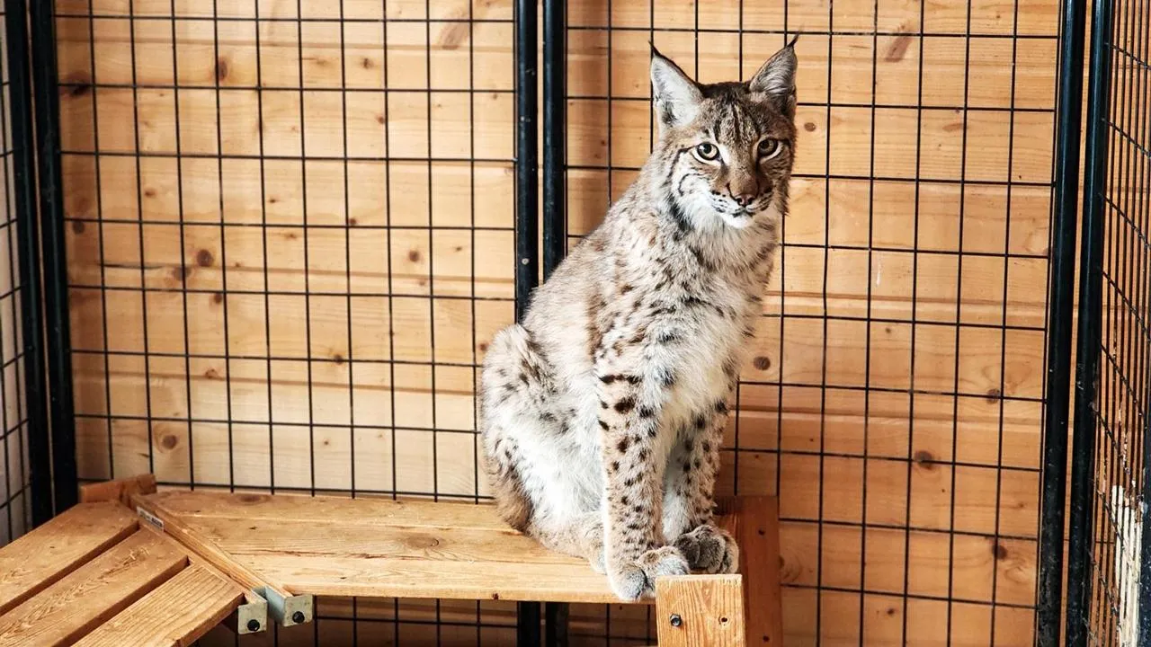 REGIONS/Мария Панина