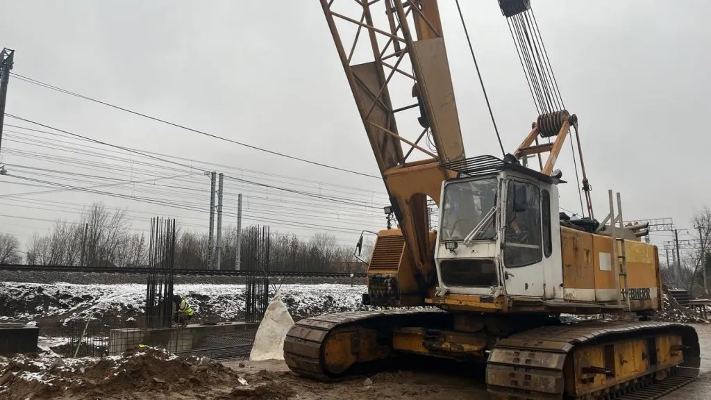 Фото: пресс-служба администрации г.о. Лобня