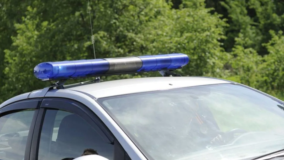 Фото: Медиаархив Подмосковья