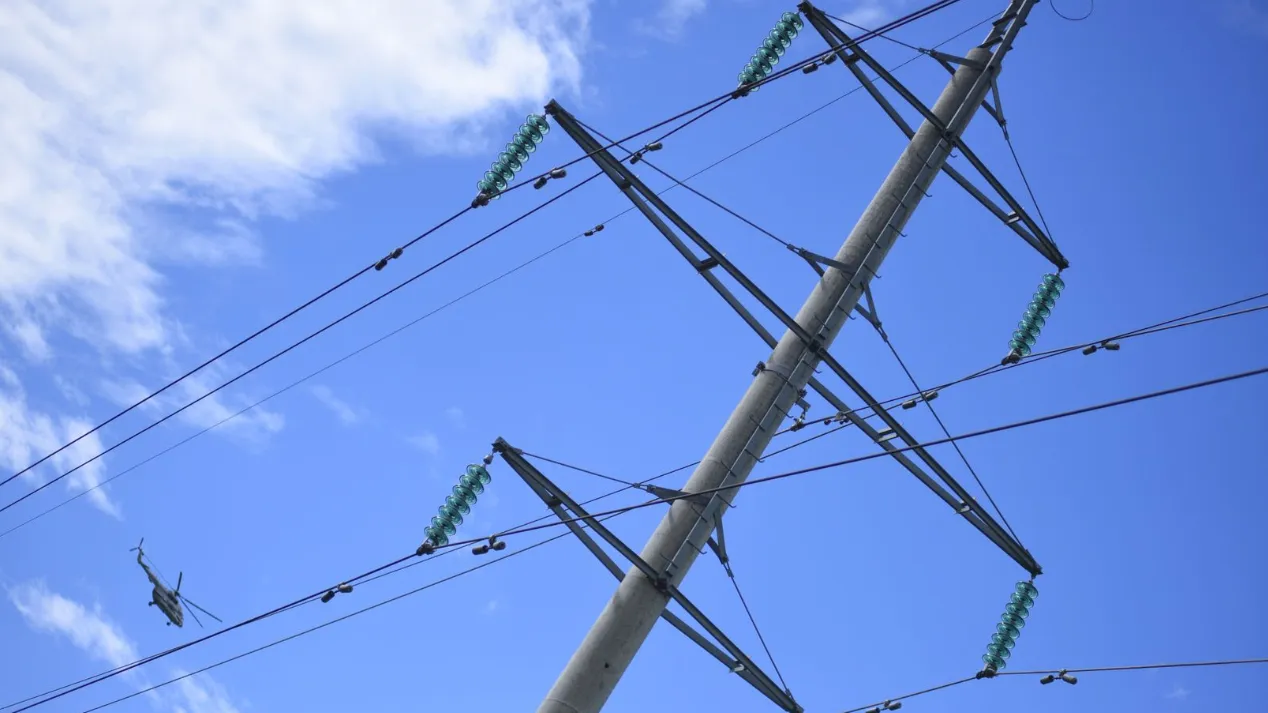 Фото: Медиаархив Подмосковья