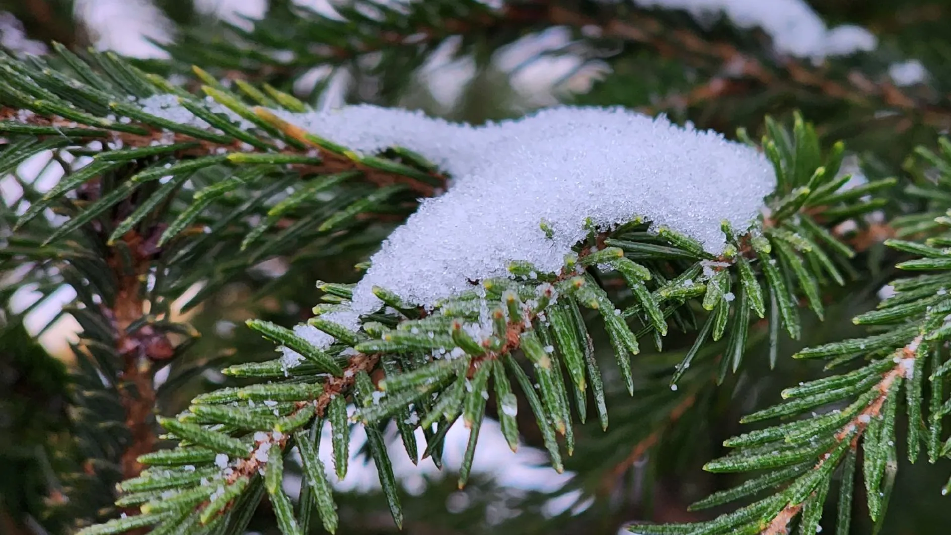Фото: МедиаБанк Подмосковья/Екатерина Данилина