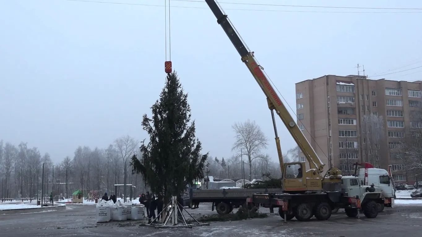 Фото: Пресс-служба администрации Г.о. Пушкинский