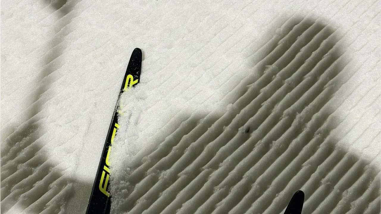 МедиаБанк Подмосковья/Мария Шматкова