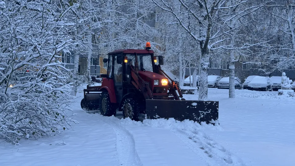 Фото: МедиаБанк Подмосковья/Татьяна Рунова
