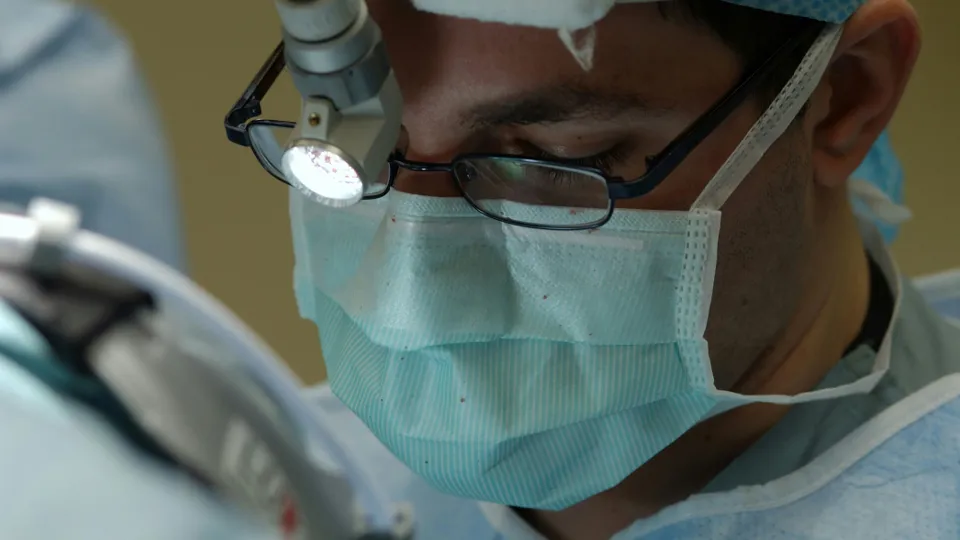 Фото: unsplash.com