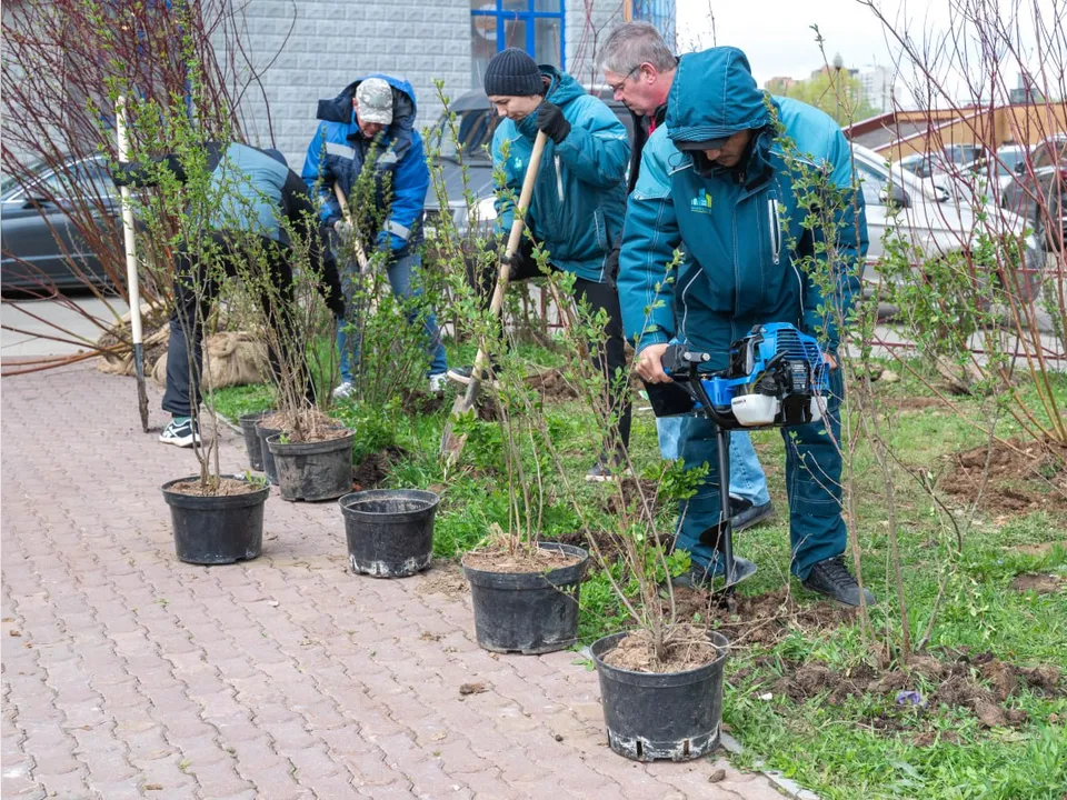 Фото: администрация г.о. Реутов