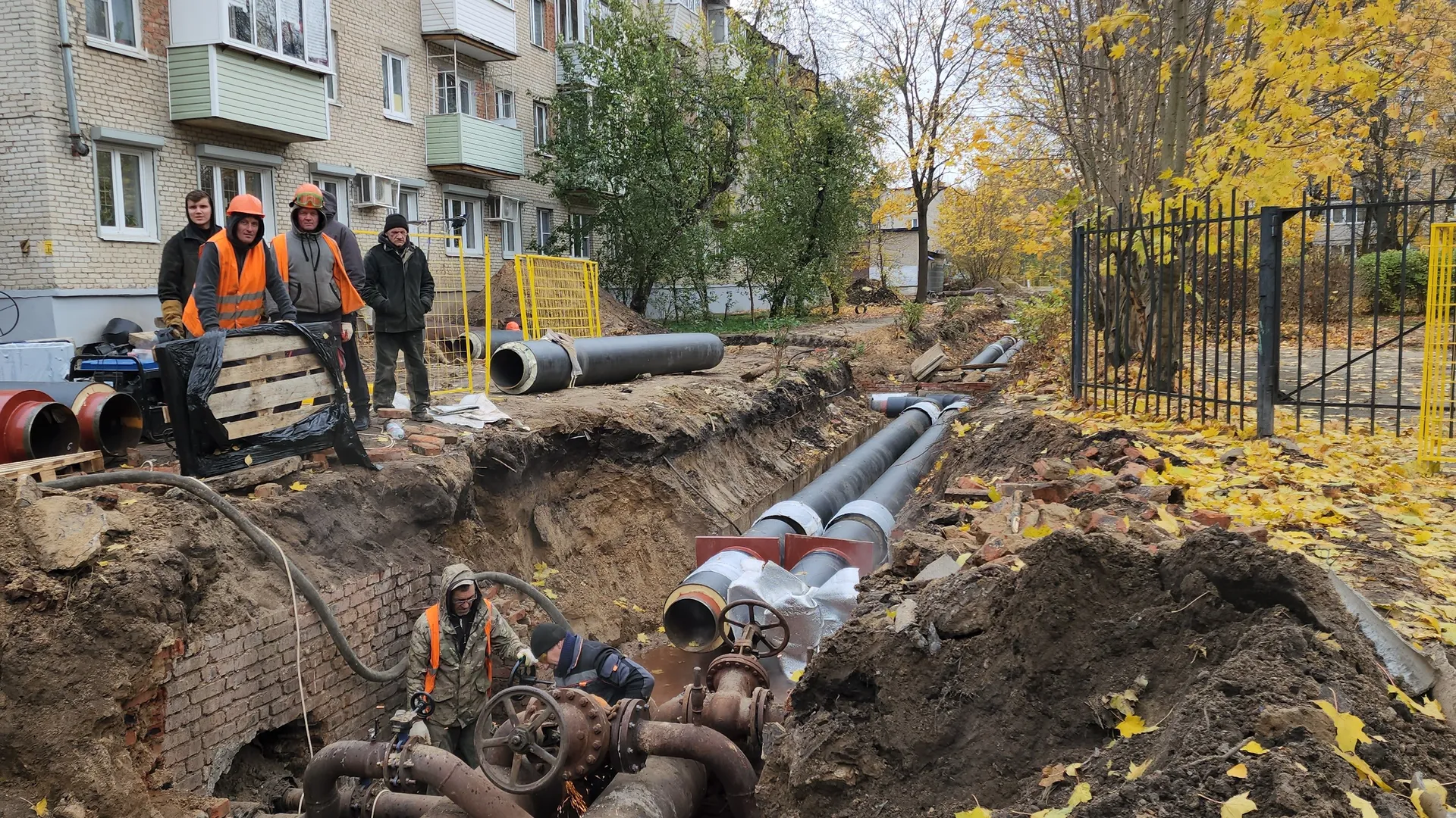 Фото: медиасток.рф