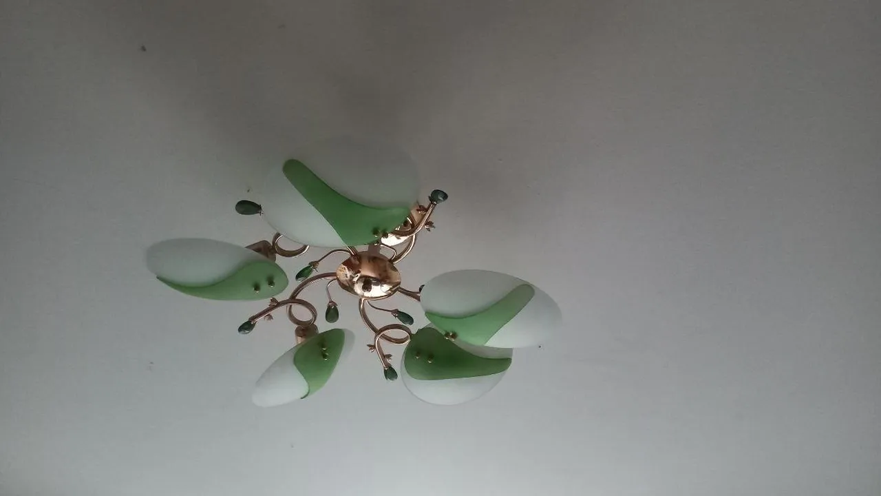 Фото: Олег Книжник