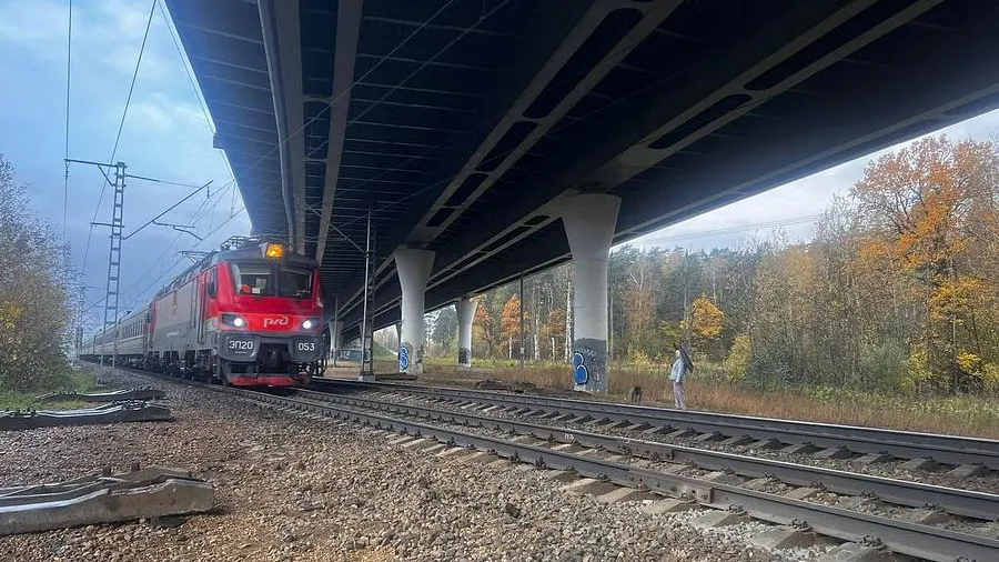 Источник: пресс-служба администрации Одинцовского округа