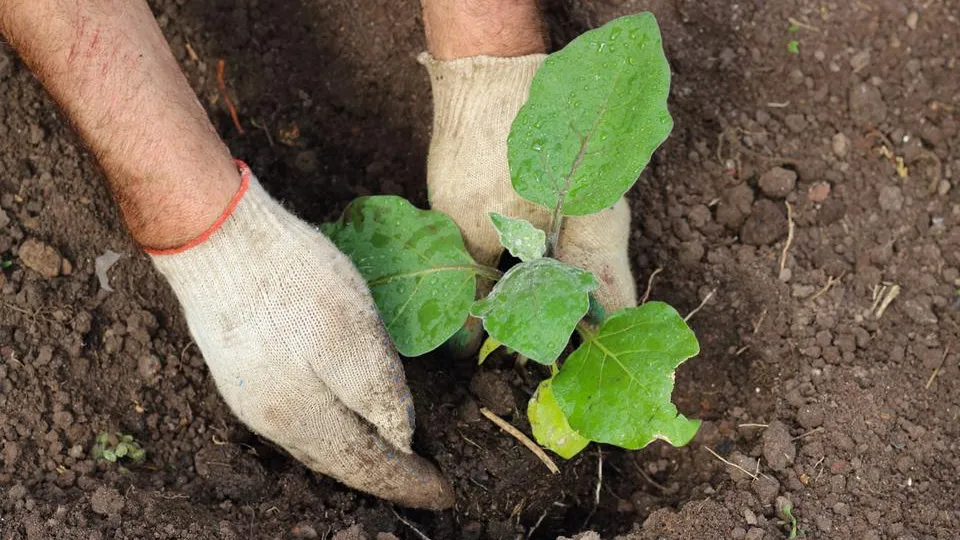 Фото: istockphoto.com