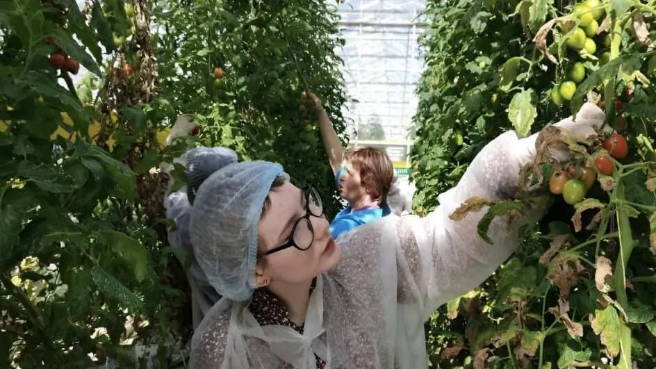 Фото: Минсельхозпрод МО