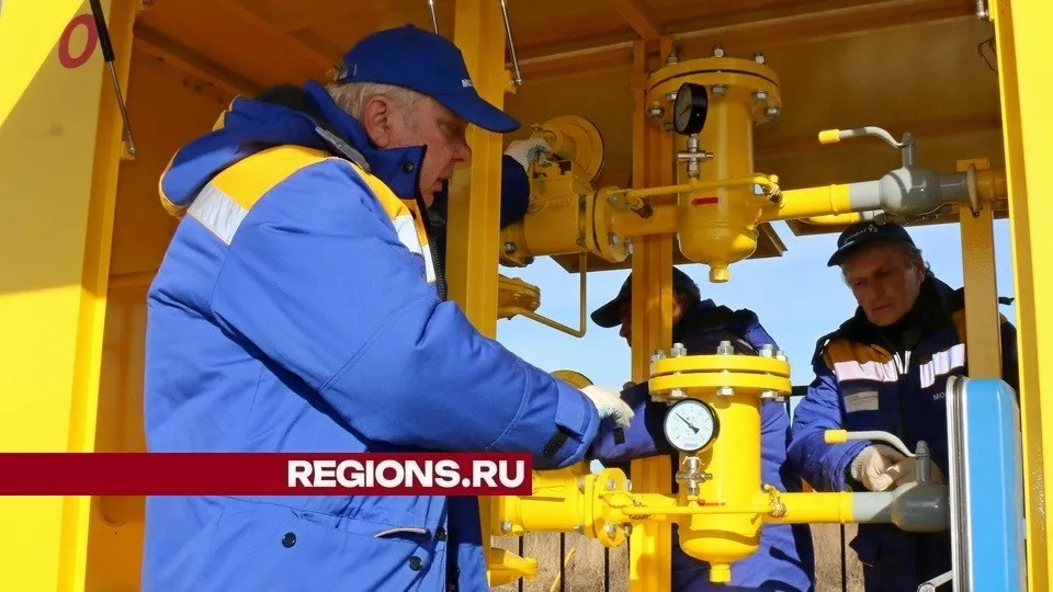 Фото: REGIONS/Александр Дрожжин