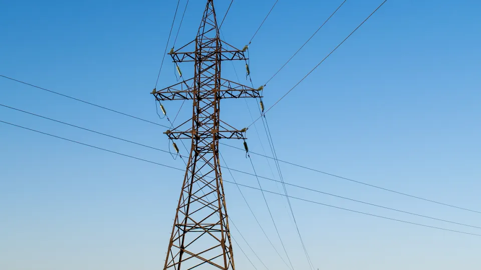 Фото: pxhere.com