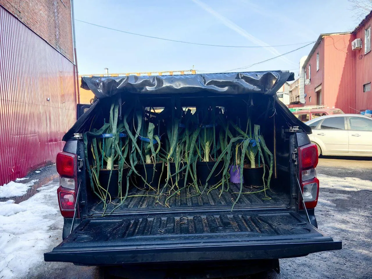 личный архив Александра Чусова