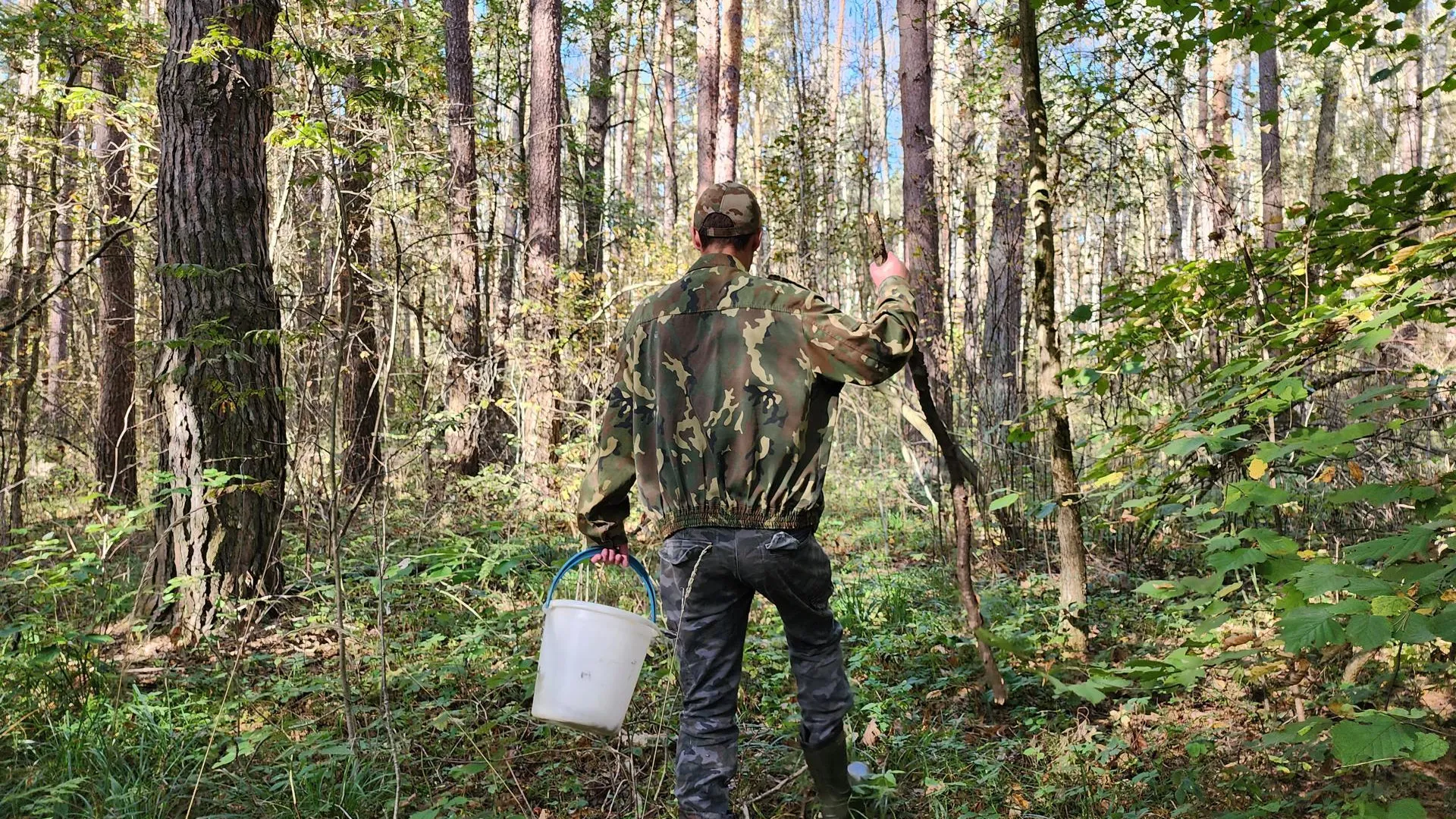 Фото: Александр Стёпушкин