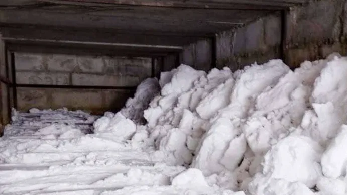 Источник фото: пресс-служба Комитета лесного хозяйства Московской области