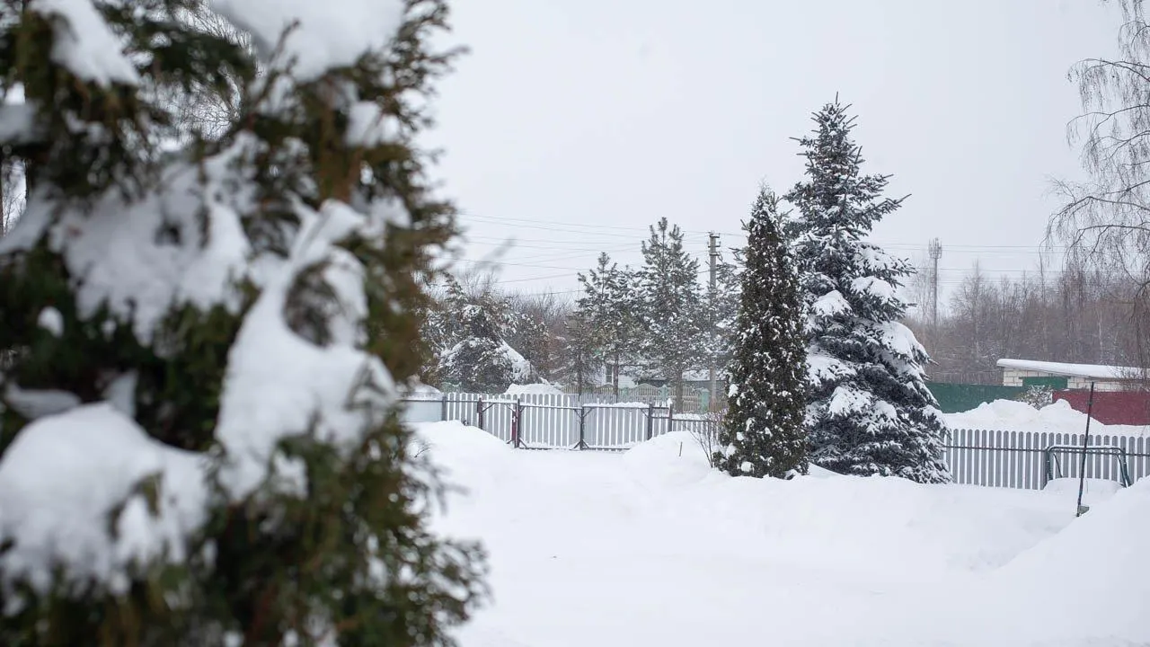 REGIONS/Дарина Левкина