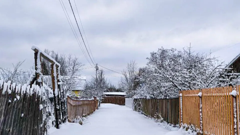 Фото: REGIONS/Роман Малышенко