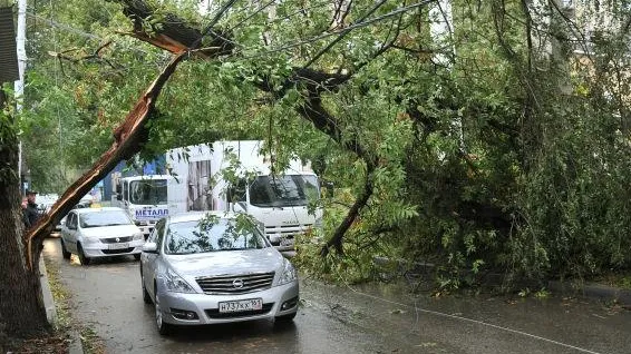 «Оранжевый» уровень опасности присвоили погоде в Подмосковье