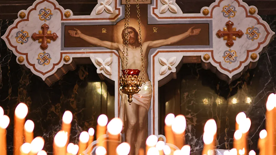 Фото: ТАСС/Михаил Терещенко