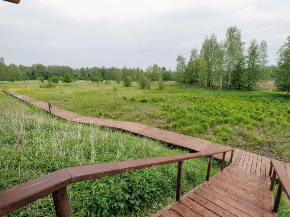 Фото: Константин Елисеев