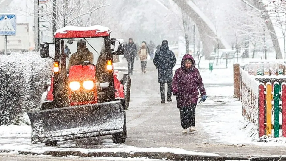 Фото: пресс-служба администрации г. о. Красногорск