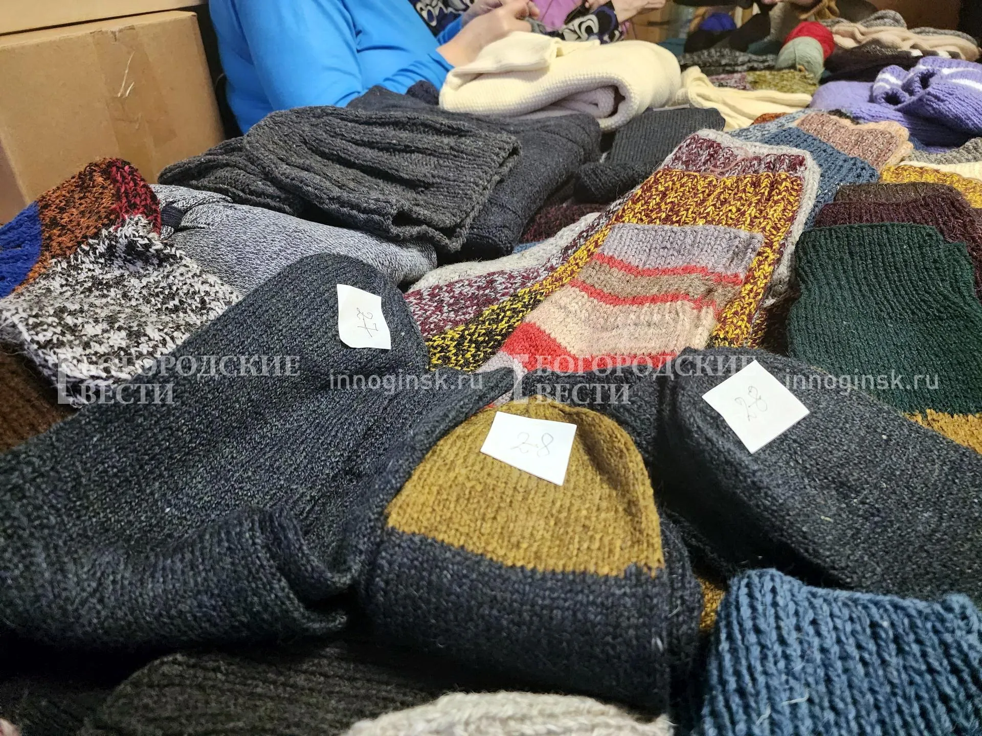 Фото: Ксения Пашуто