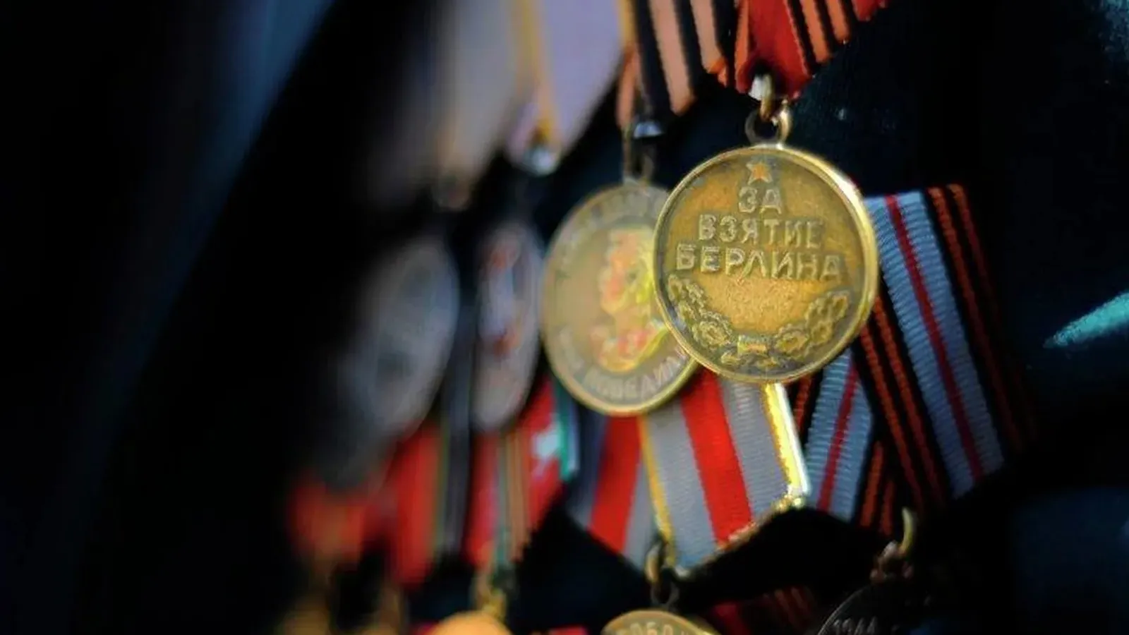 Фото: РИА Новости/Александр Кряжев