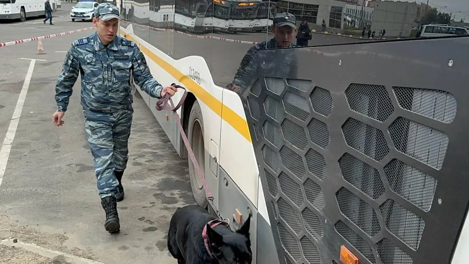 Фото: пресс-служба администрации г.о.Котельники