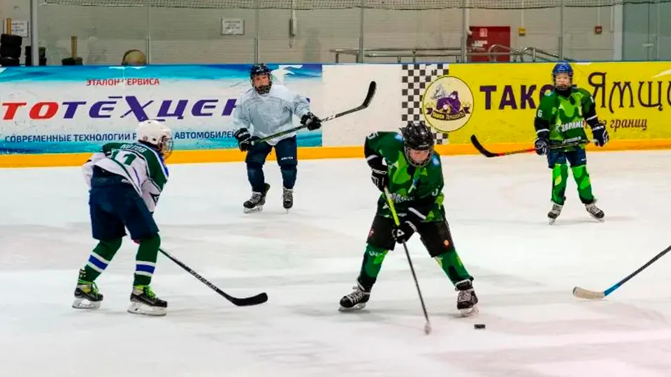 Фото: Зарайский ледовый спортивный комплекс