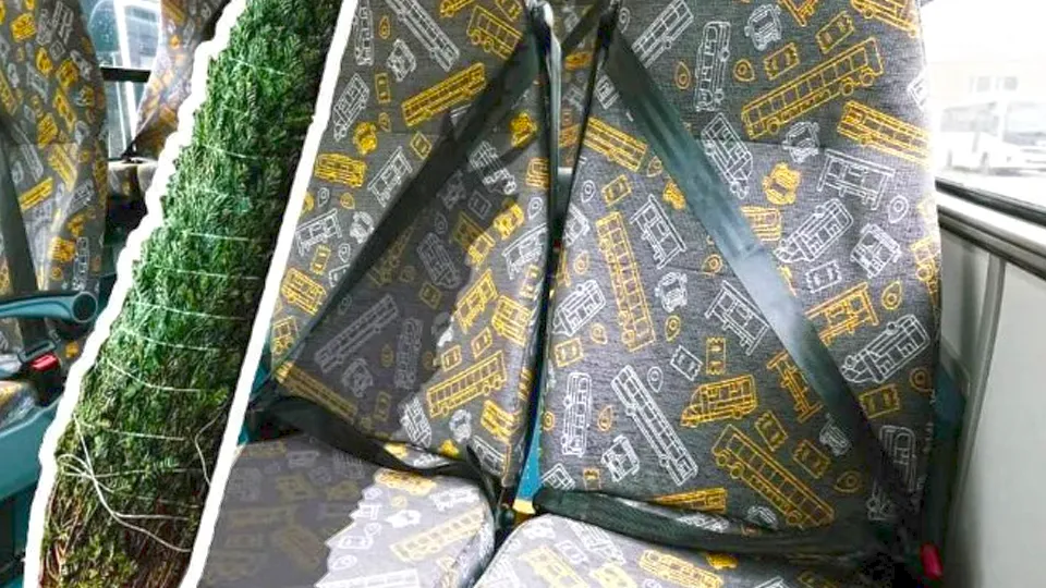 Фото: Министерство транспорта и дорожной инфраструктуры Московской области