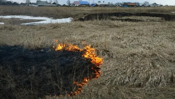 Александр Кряжев / РИА Новости